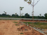 Dwaraka gardens -3