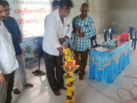 Lamp Lighting