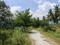 Dwaraka gardens - 2