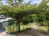 Dwaraka gardens - 2