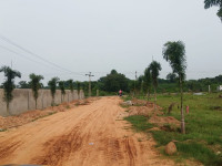 Dwarka gardens - 3